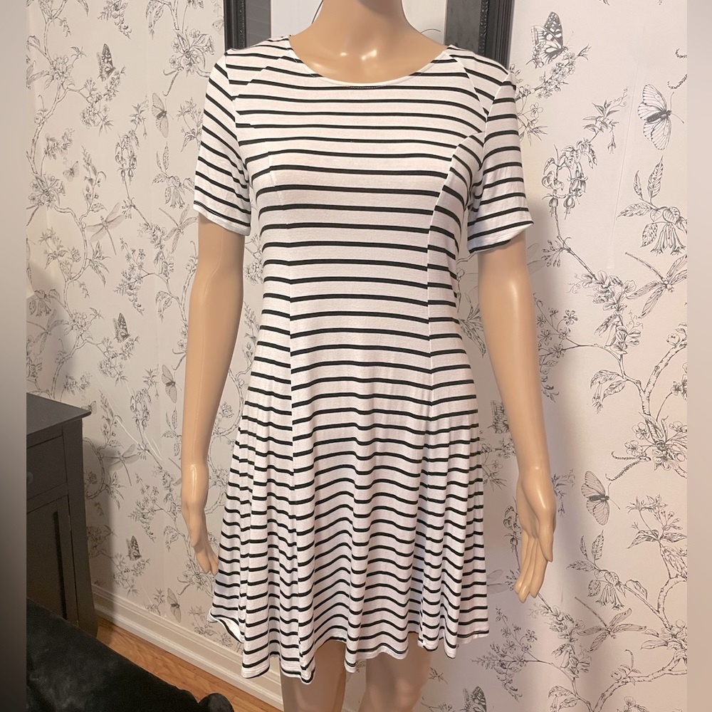 Black and White Stripe A-Line Dress